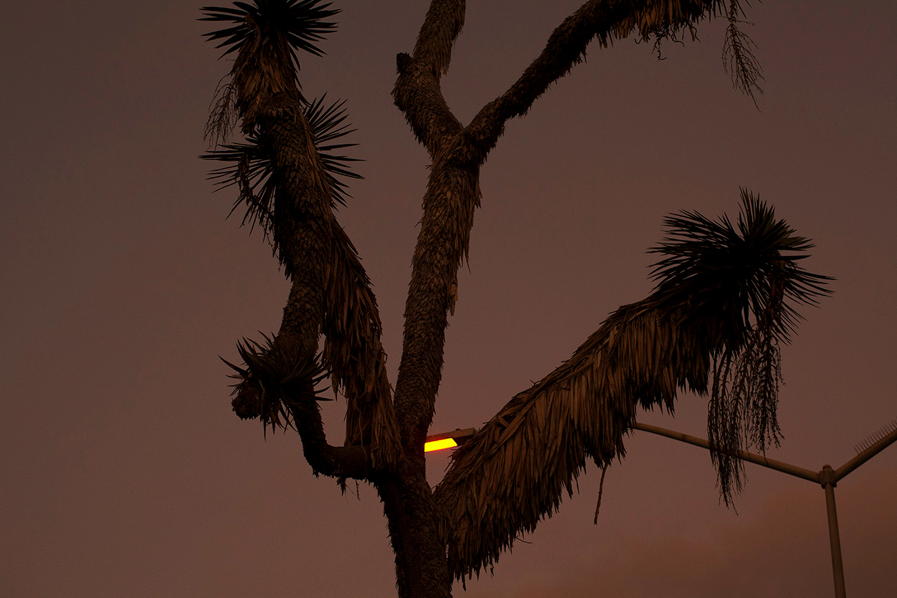 sandiego