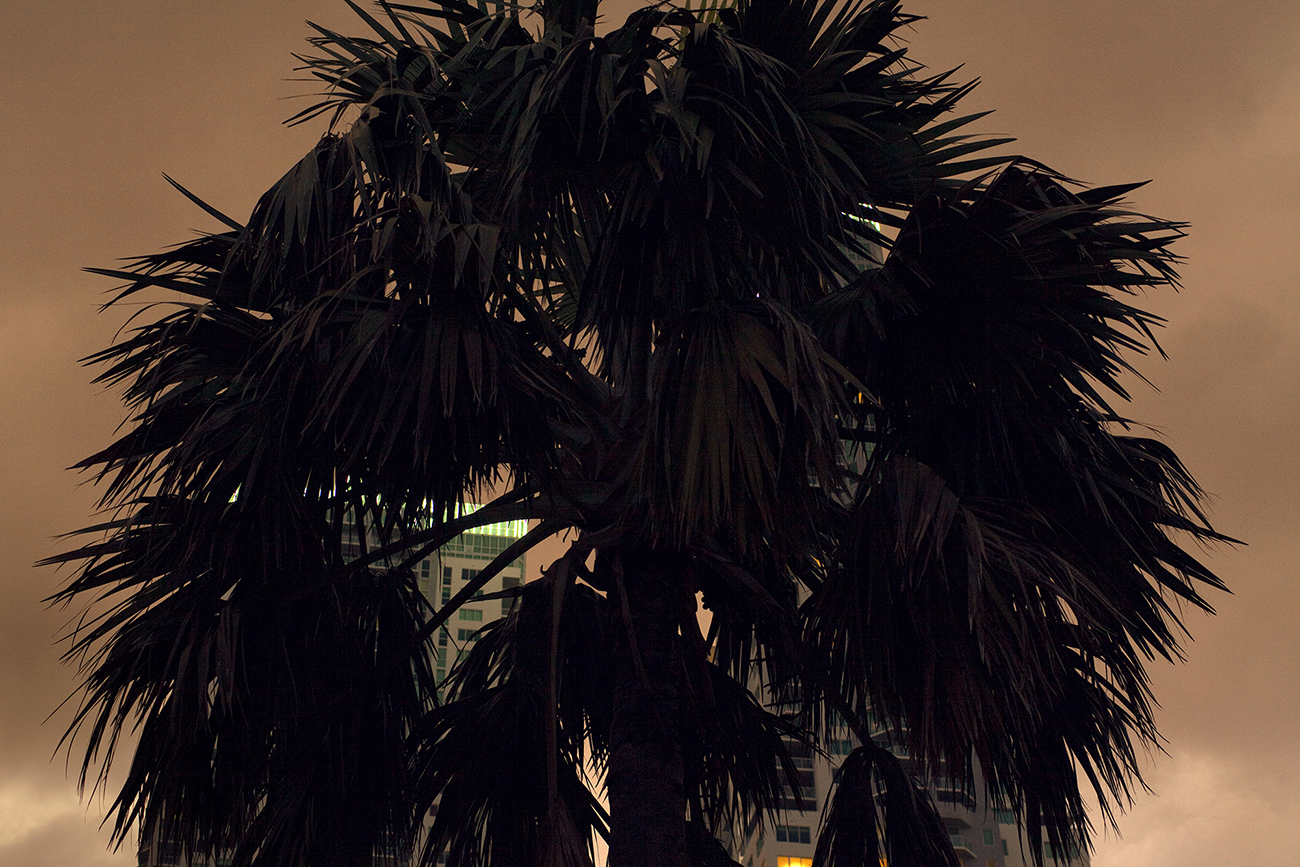 southbeach6