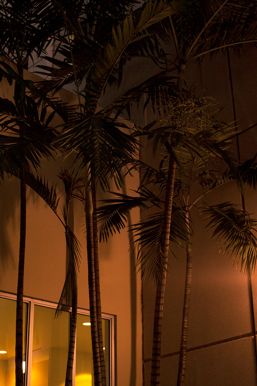 southbeach