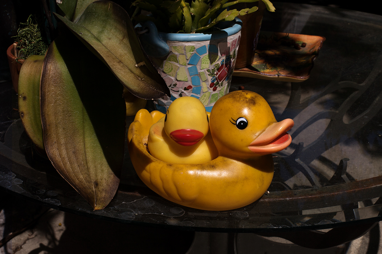 EMILIEDUCK