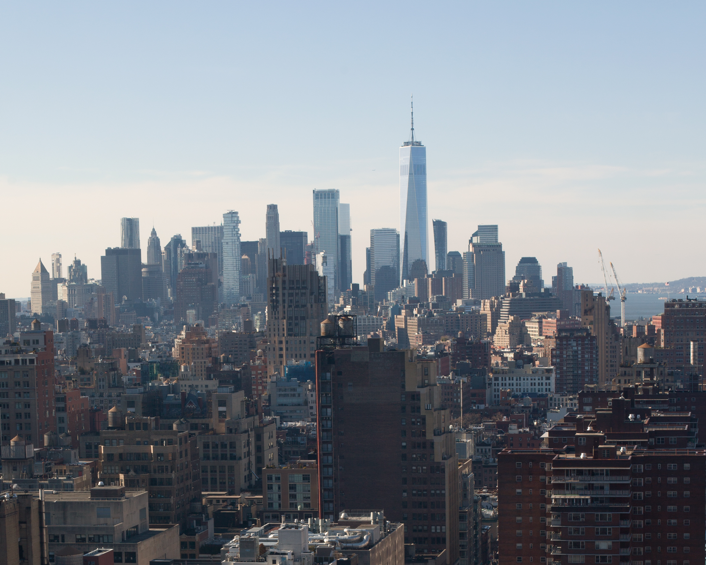 ny