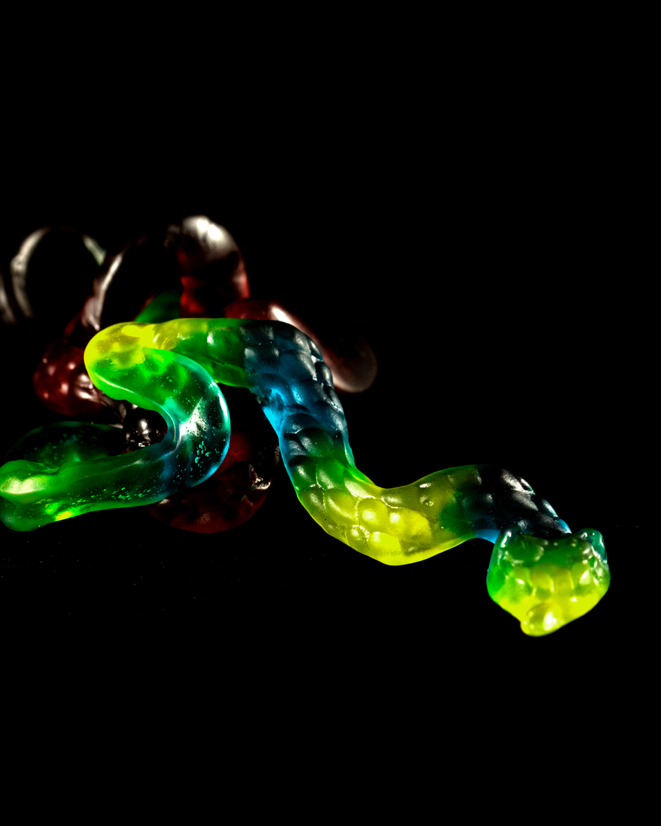 snake