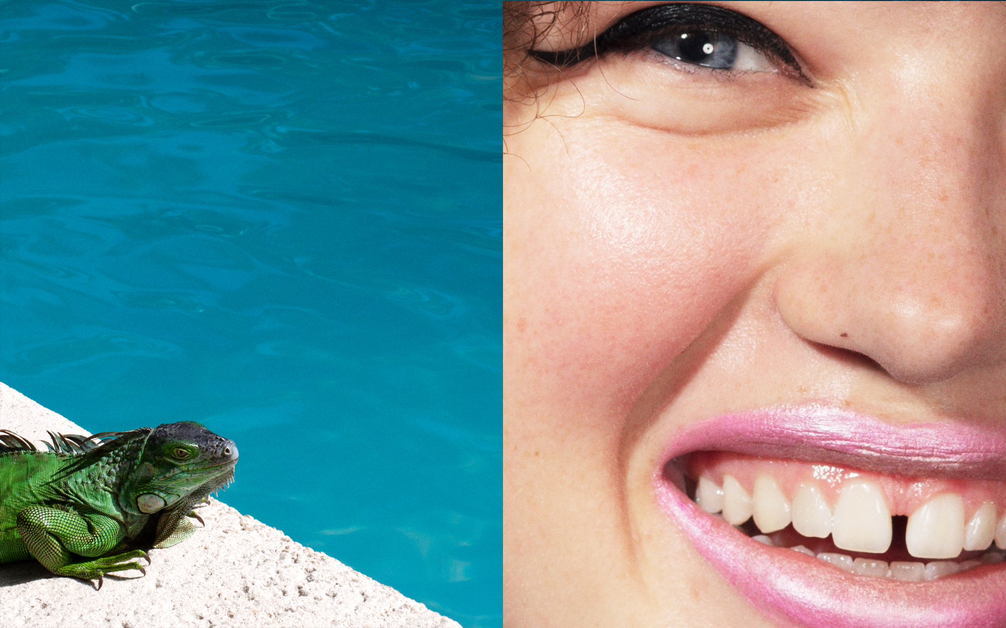 diptych lezard
