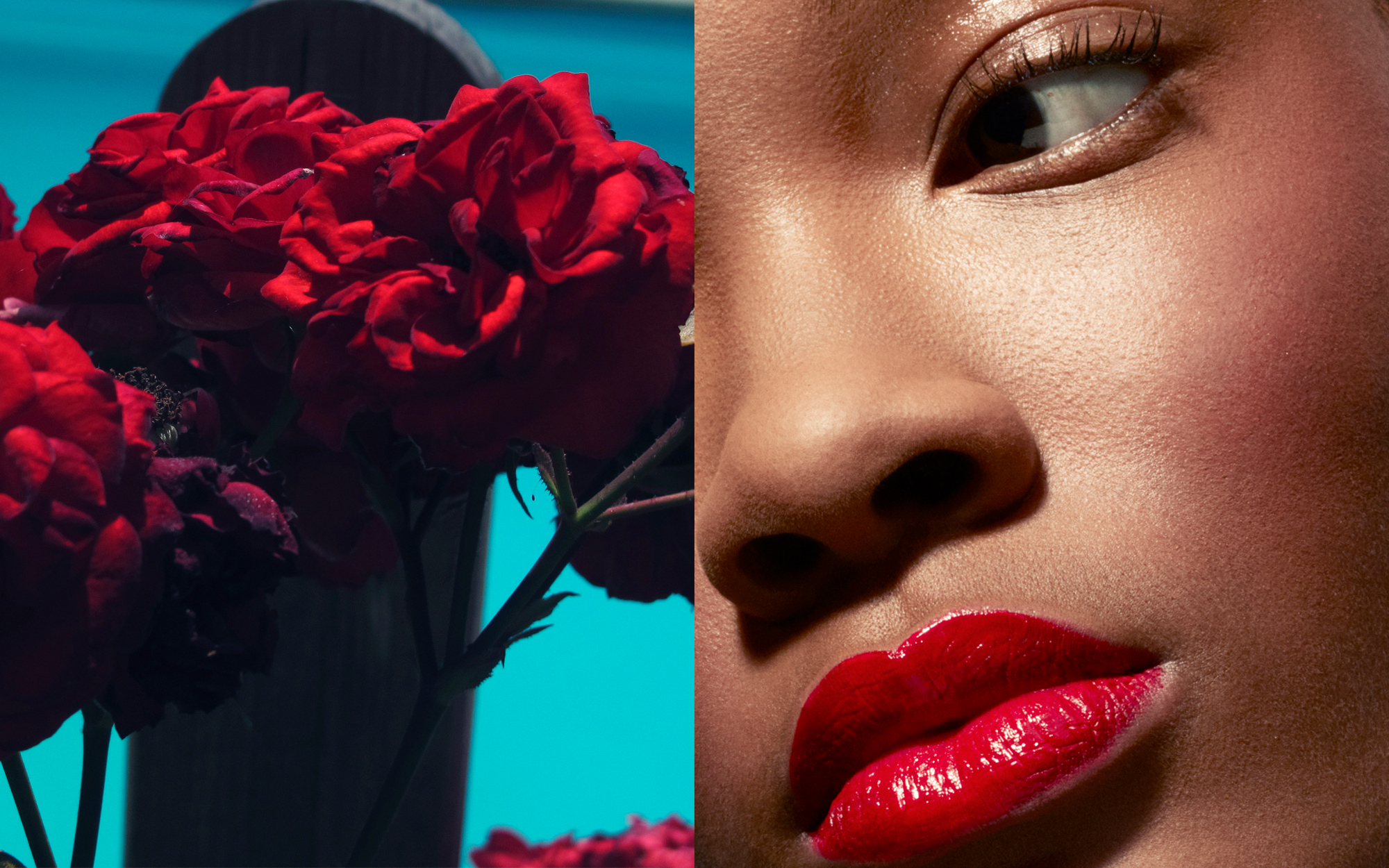 diptych roses