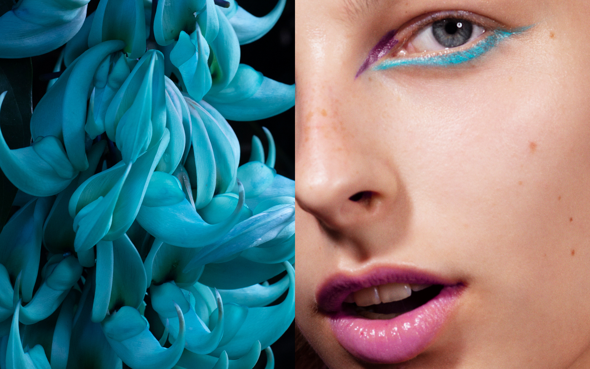 duptych blue orchide